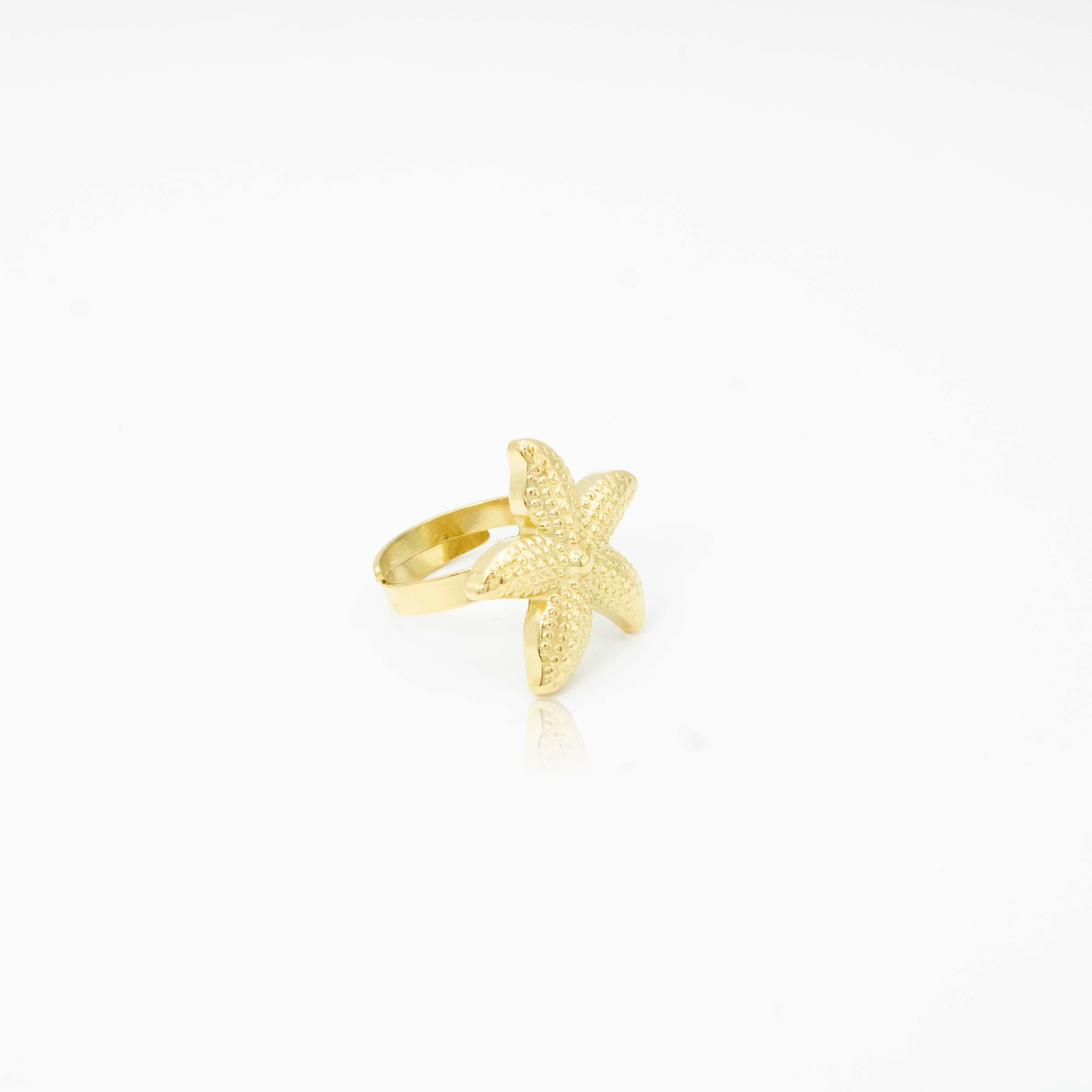 Collection of  in a gallery layout