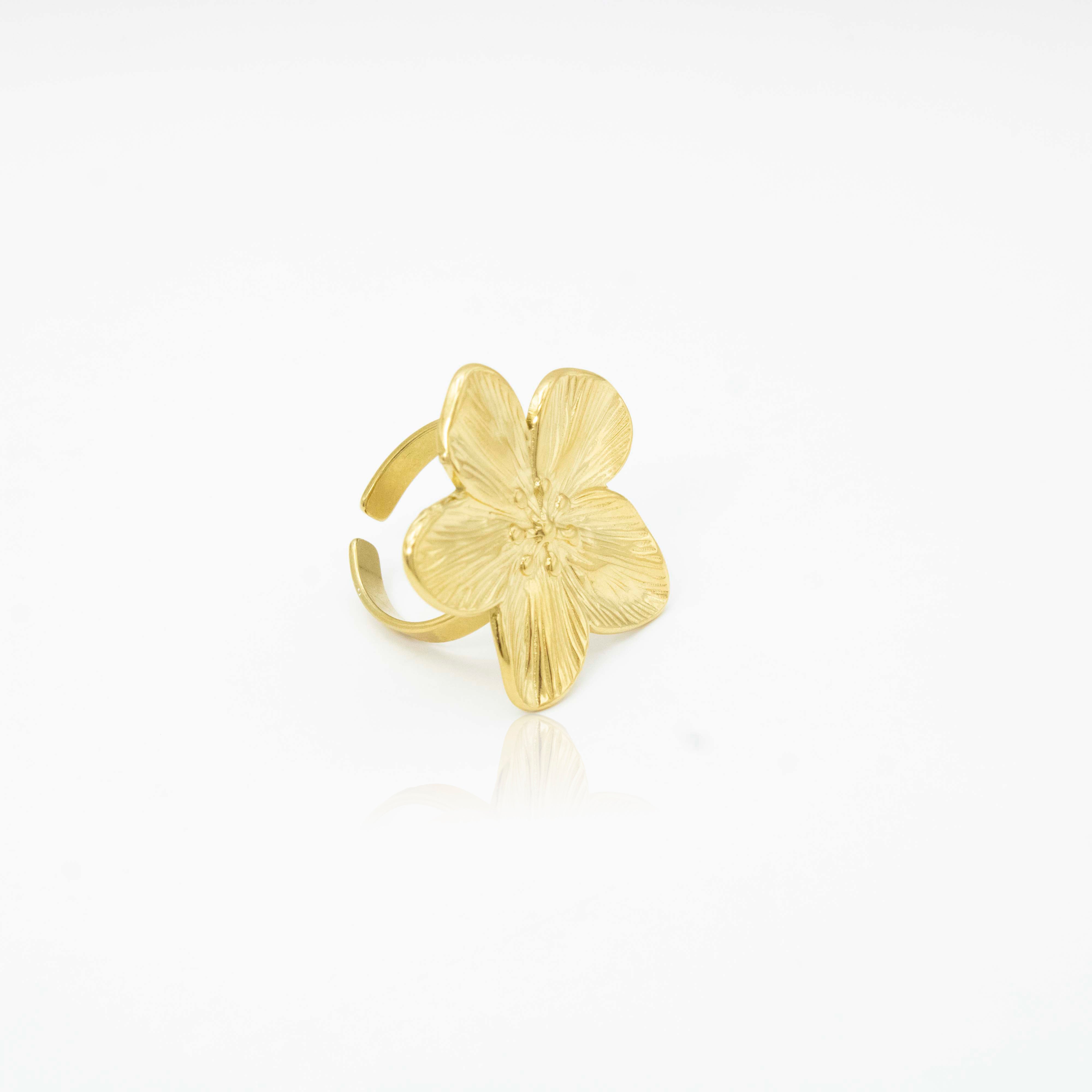 Collection of  in a gallery layout