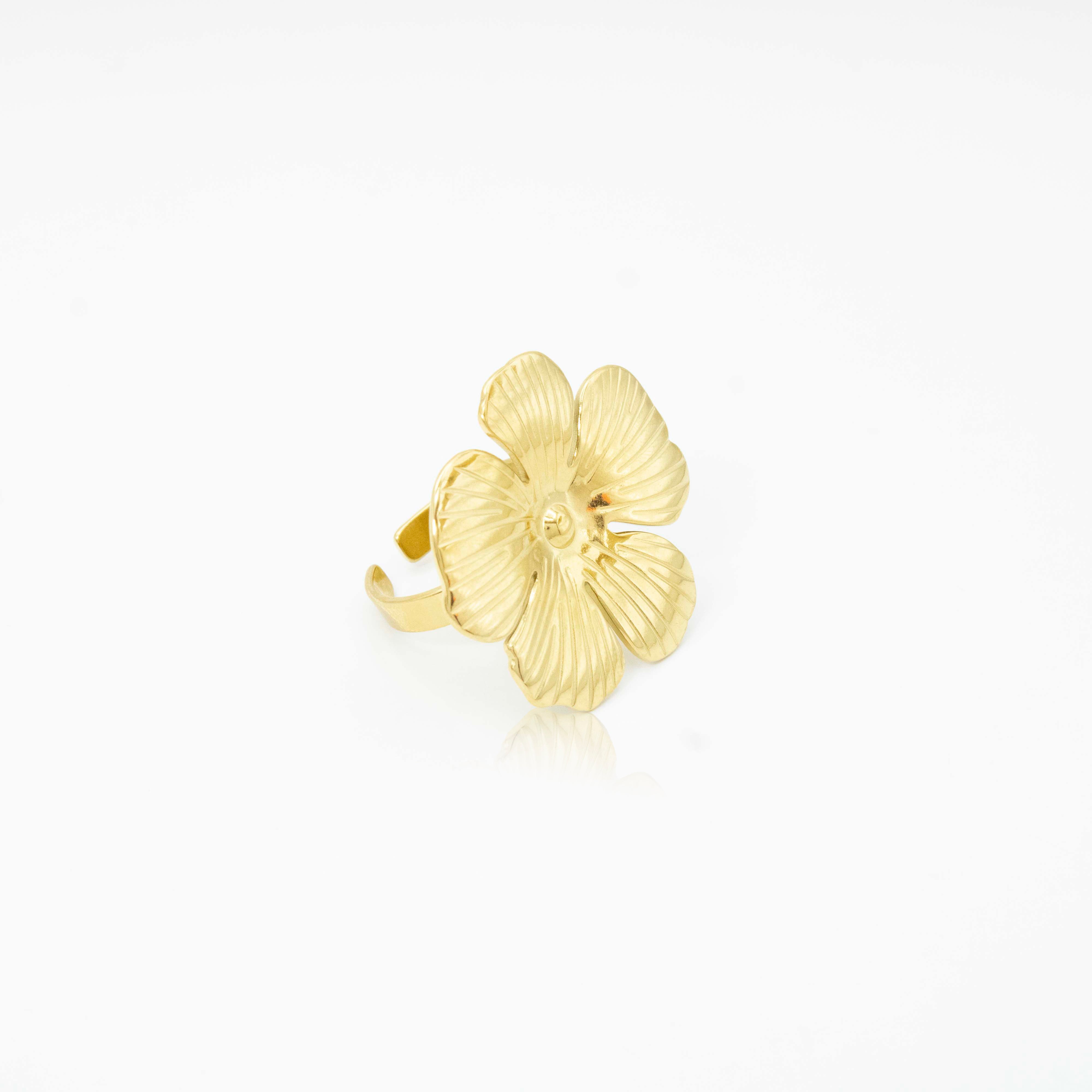 Collection of  in a gallery layout