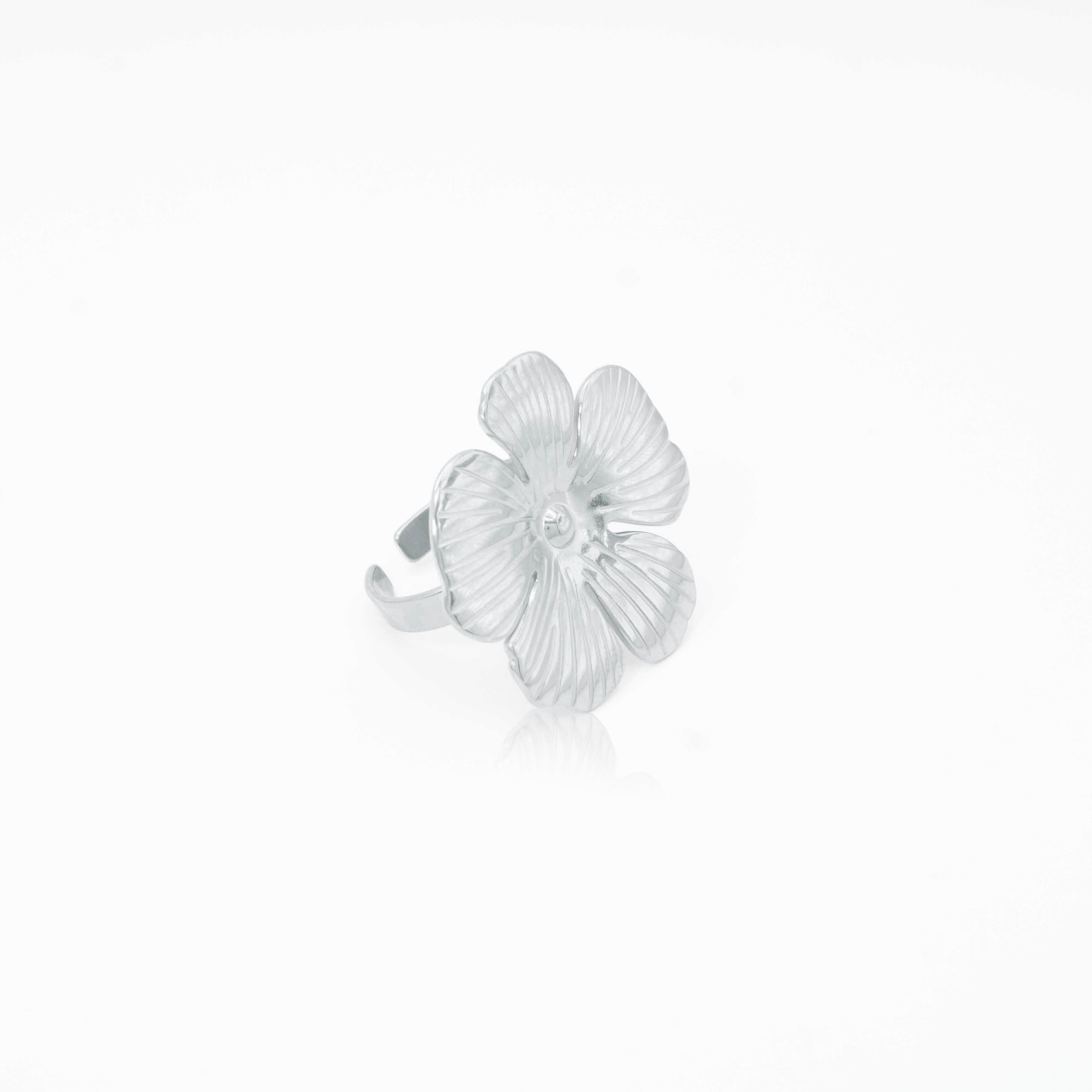 Collection of  in a gallery layout