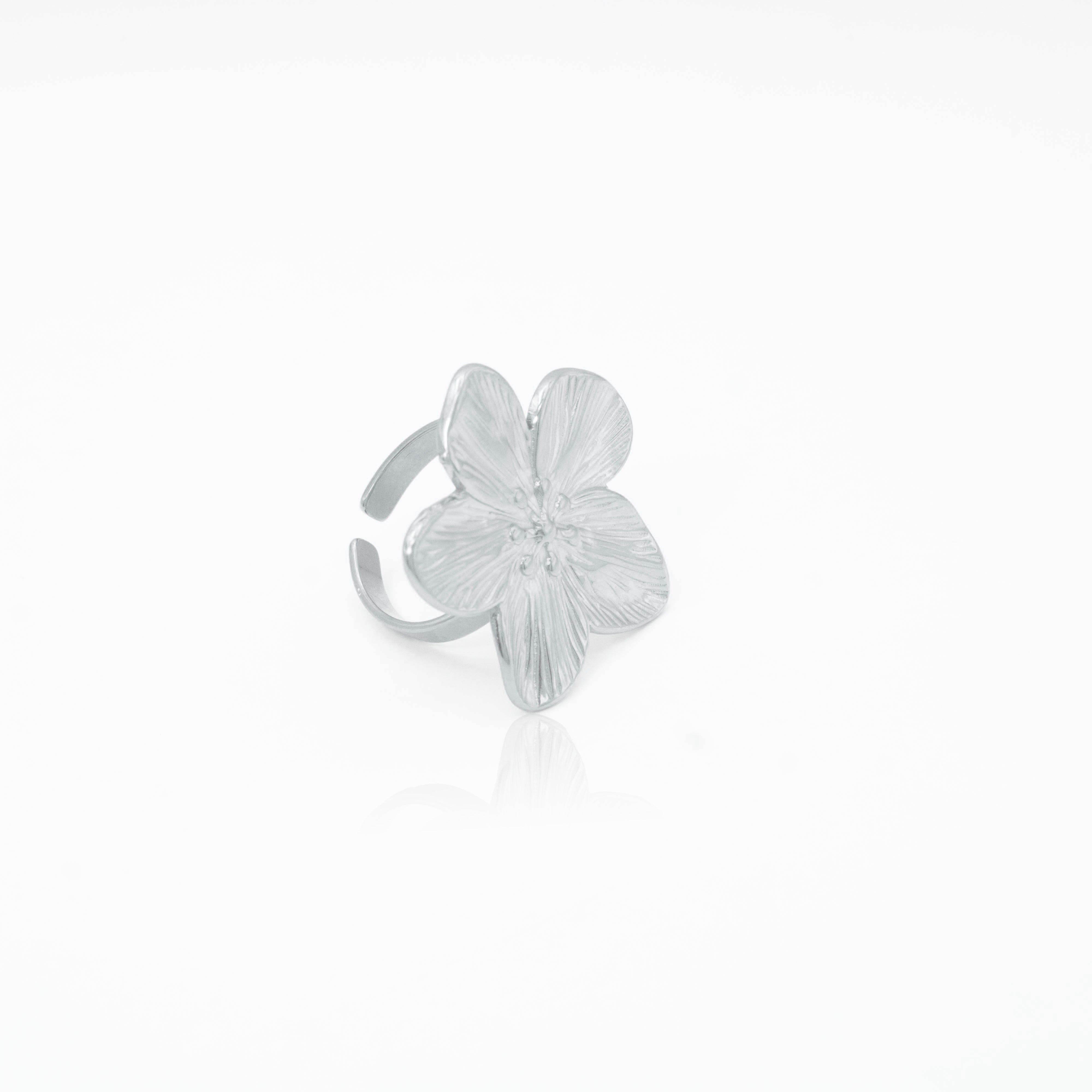 Collection of  in a gallery layout