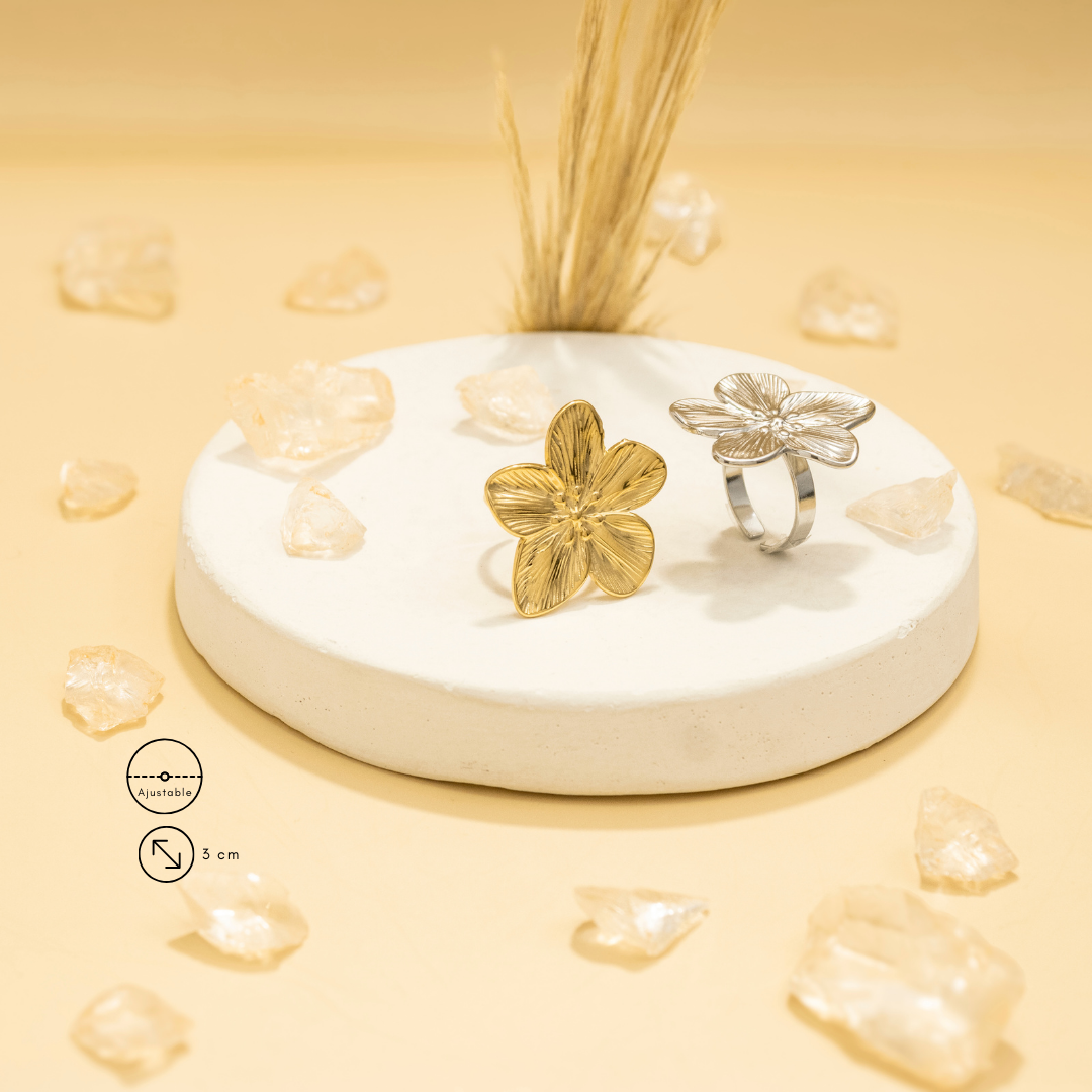 Collection of  in a gallery layout