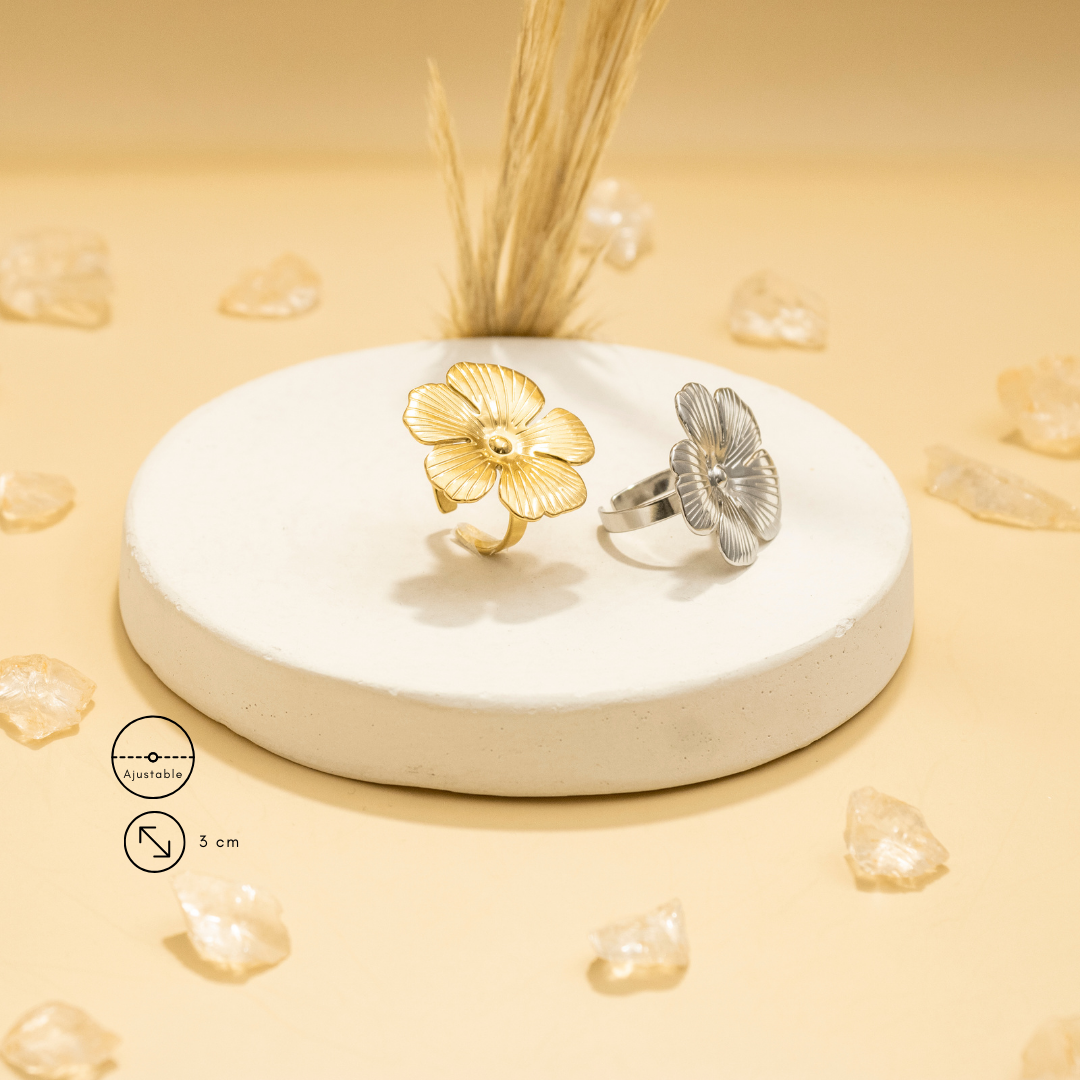 Collection of  in a gallery layout