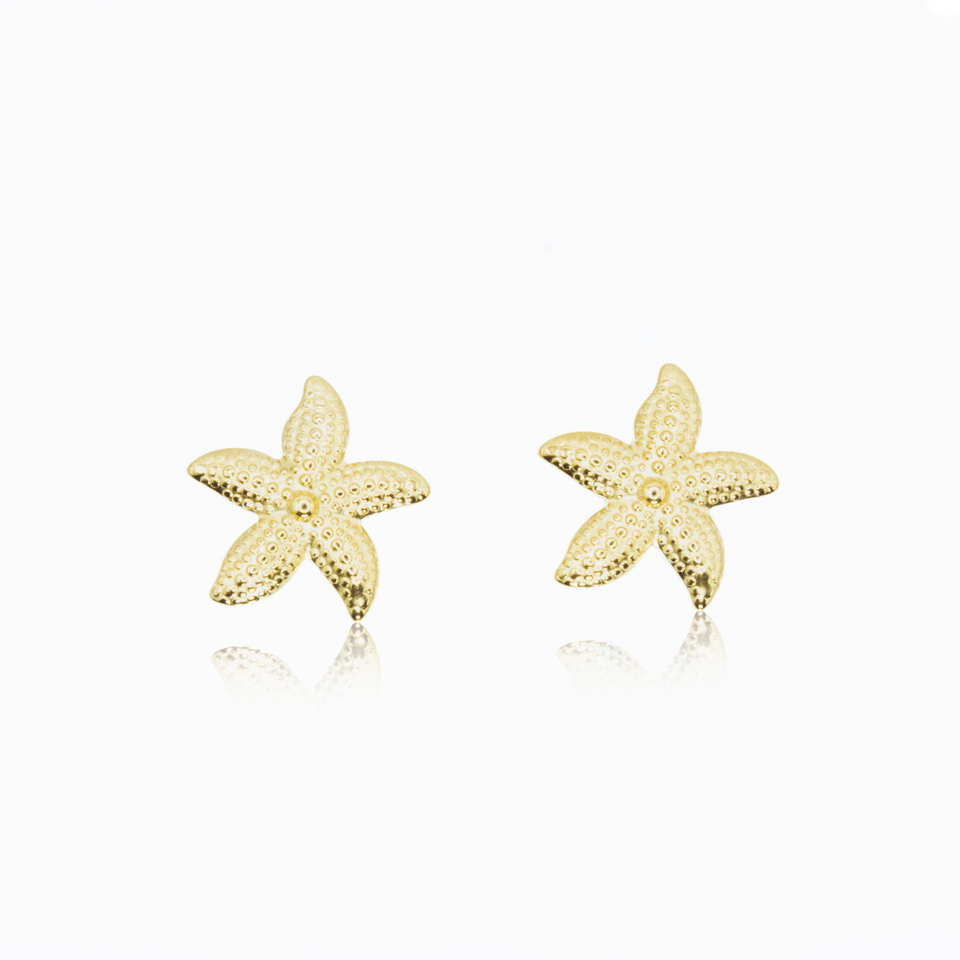 Collection of  in a gallery layout