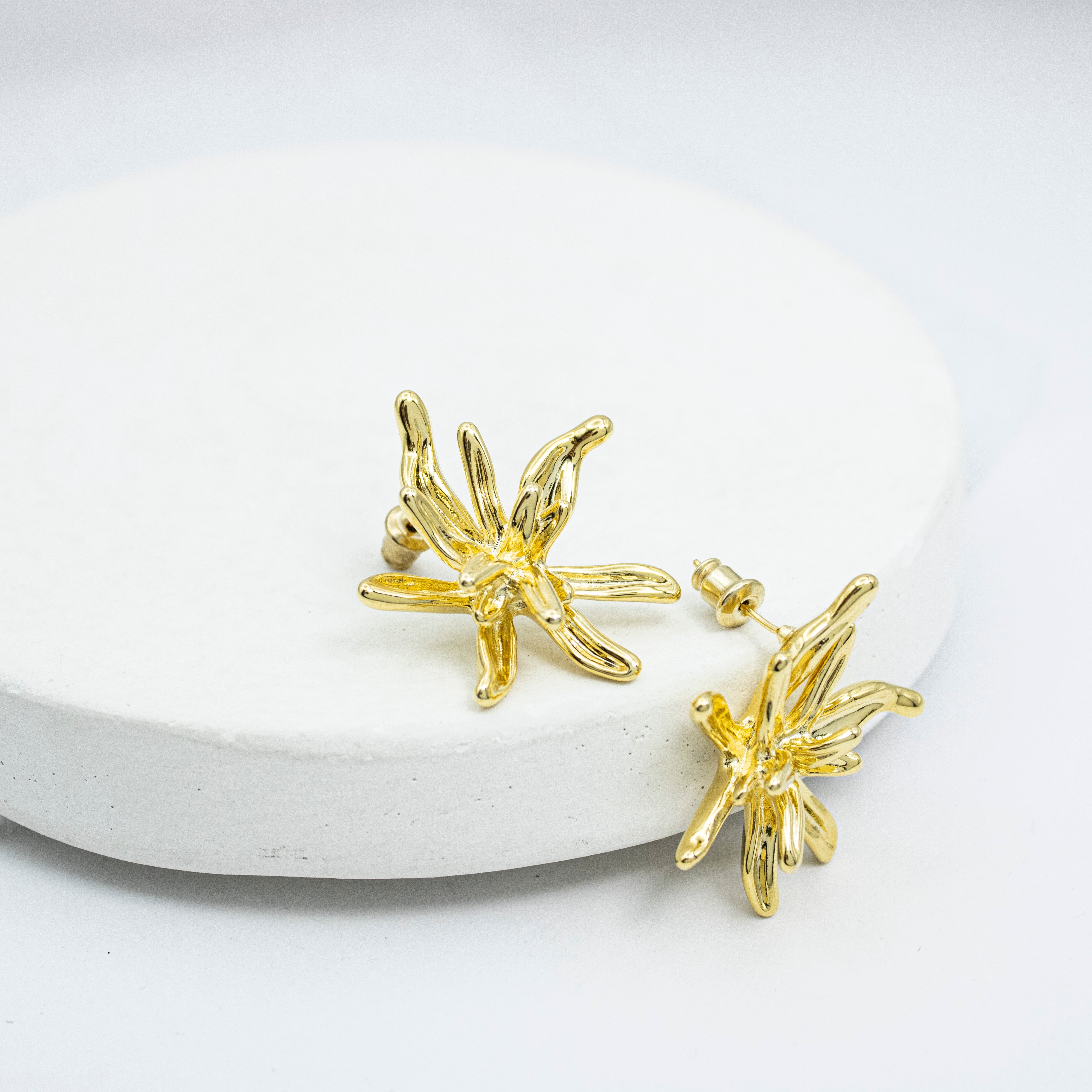 Collection of  in a gallery layout