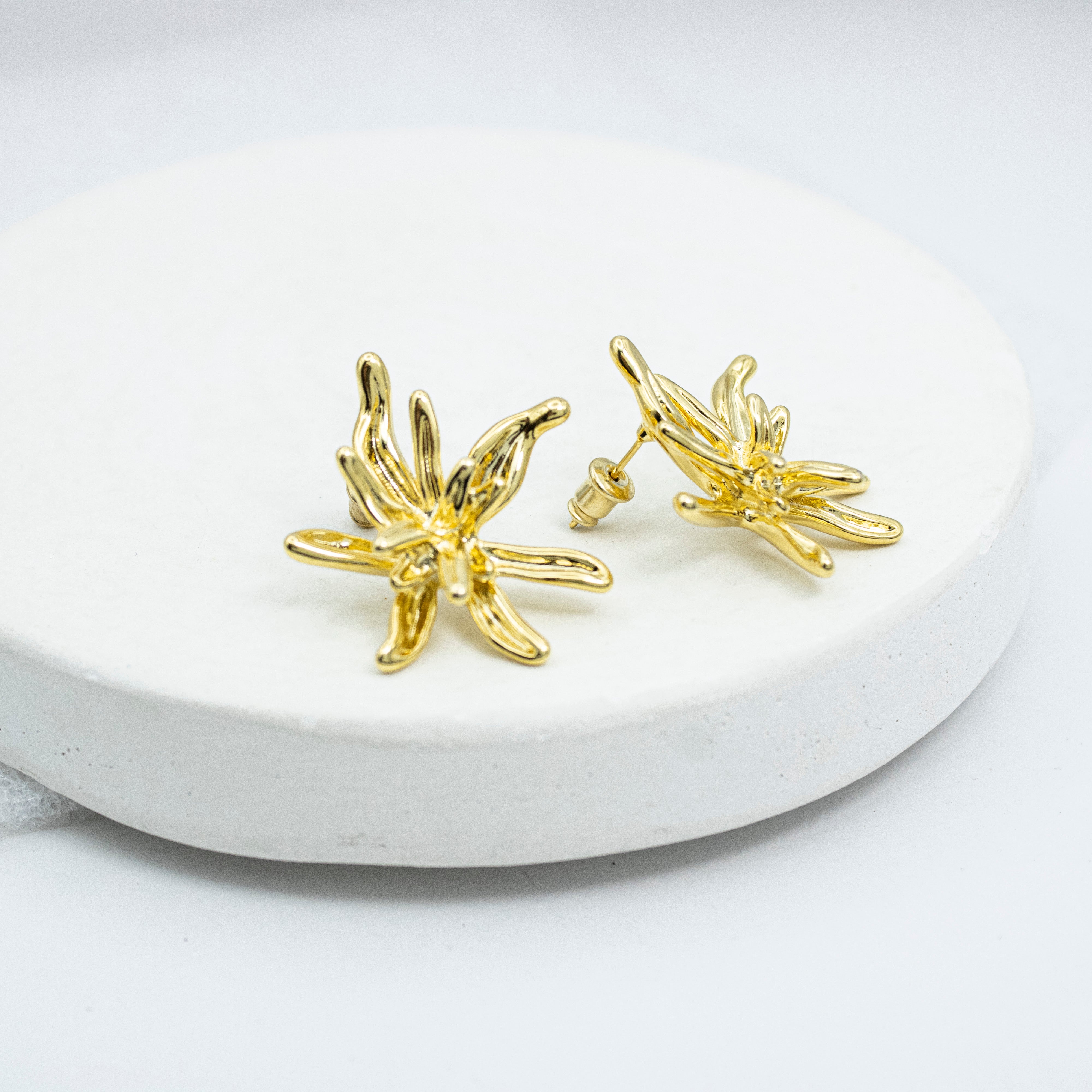 Collection of Arete Estrella de Mar 68 Dorada in a gallery layout