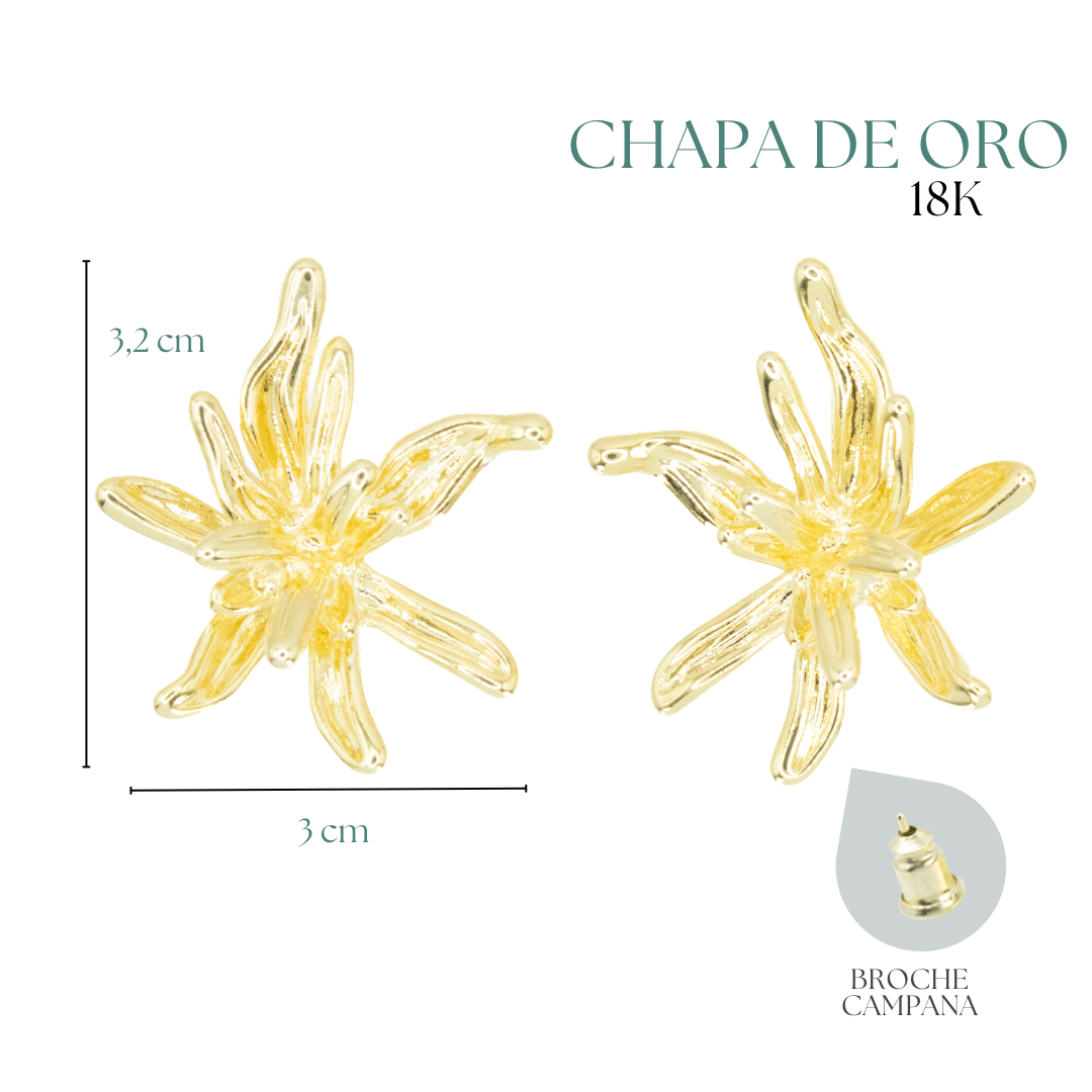 Collection of Arete Estrella de Mar 68 Dorada in a gallery layout