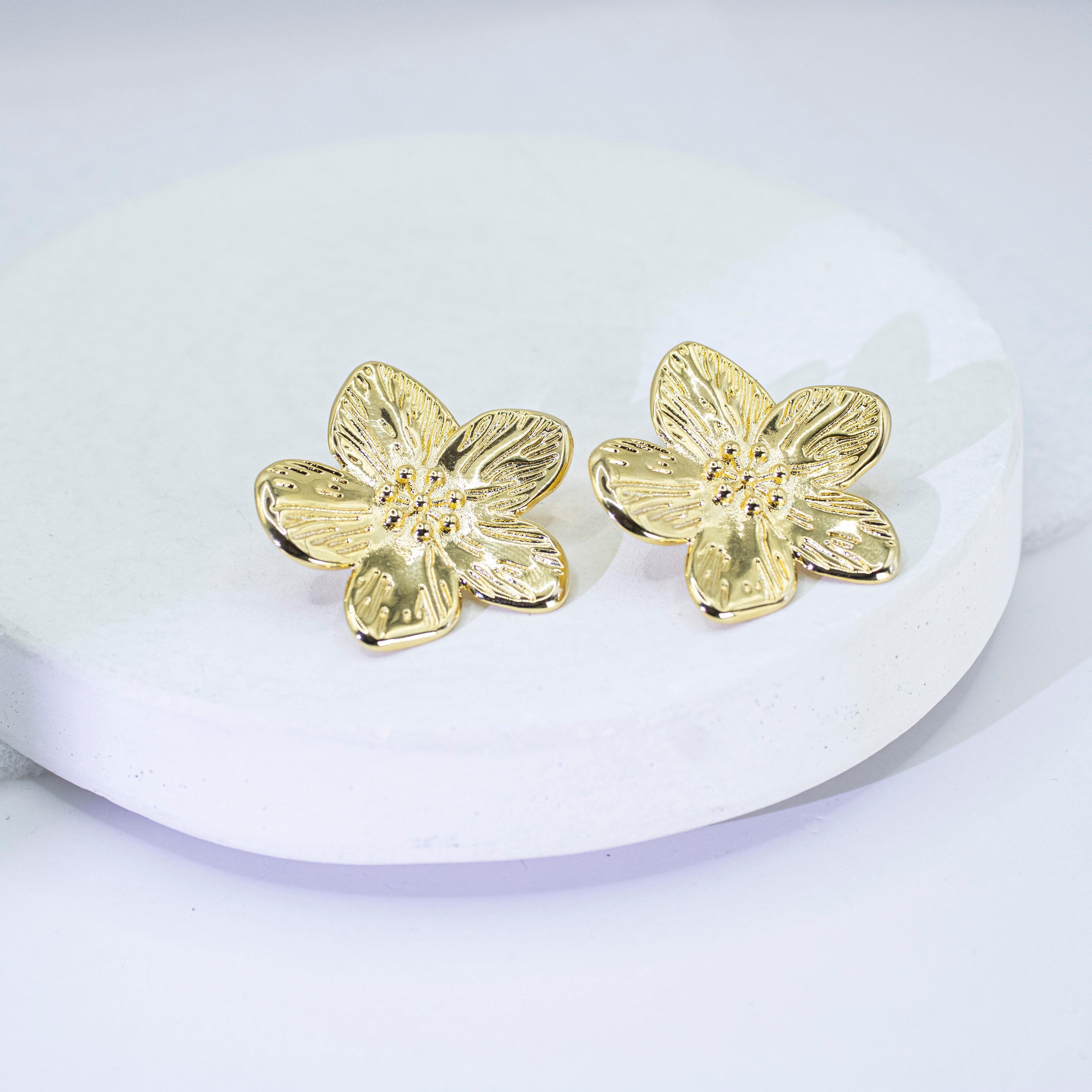 Collection of  in a gallery layout