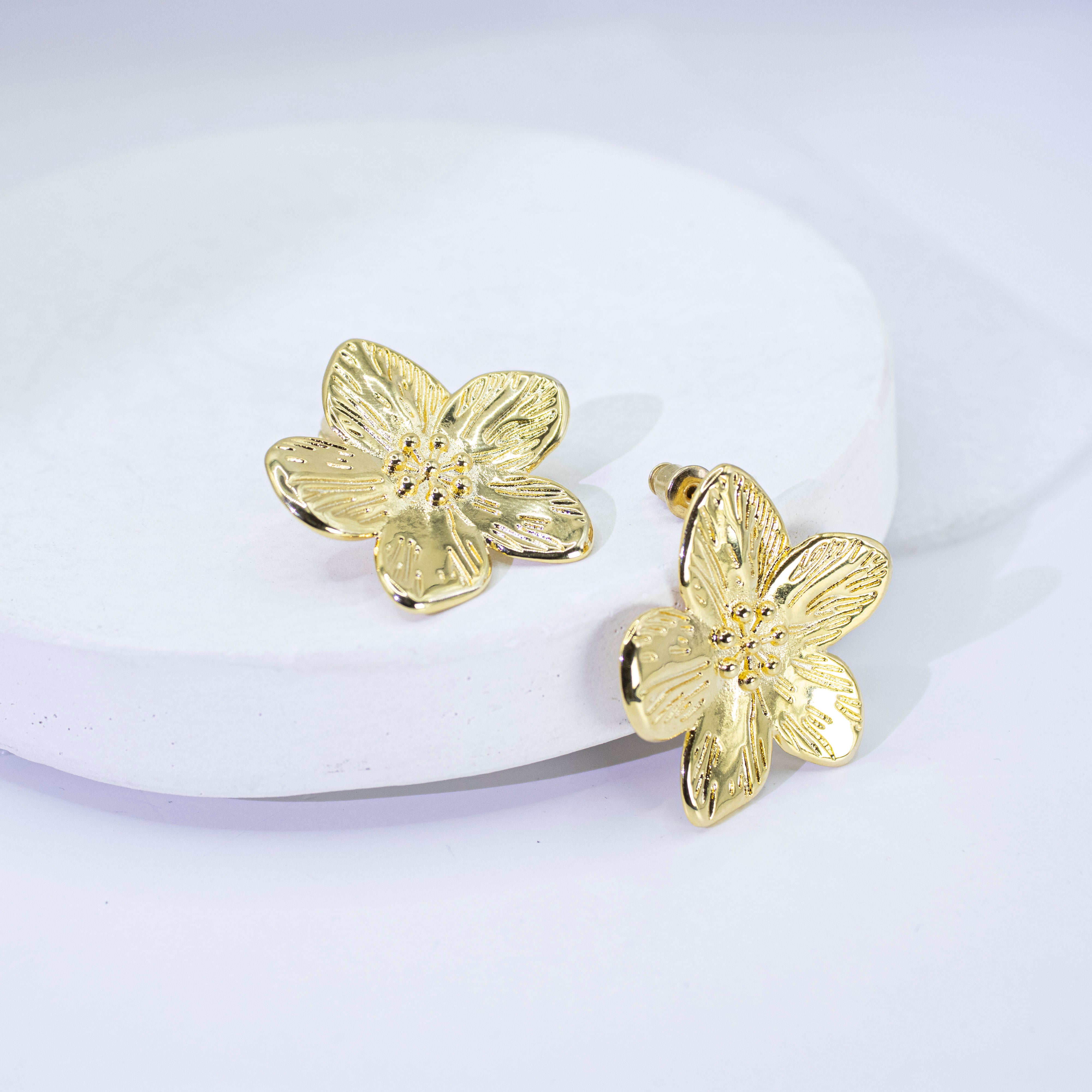 Collection of  in a gallery layout