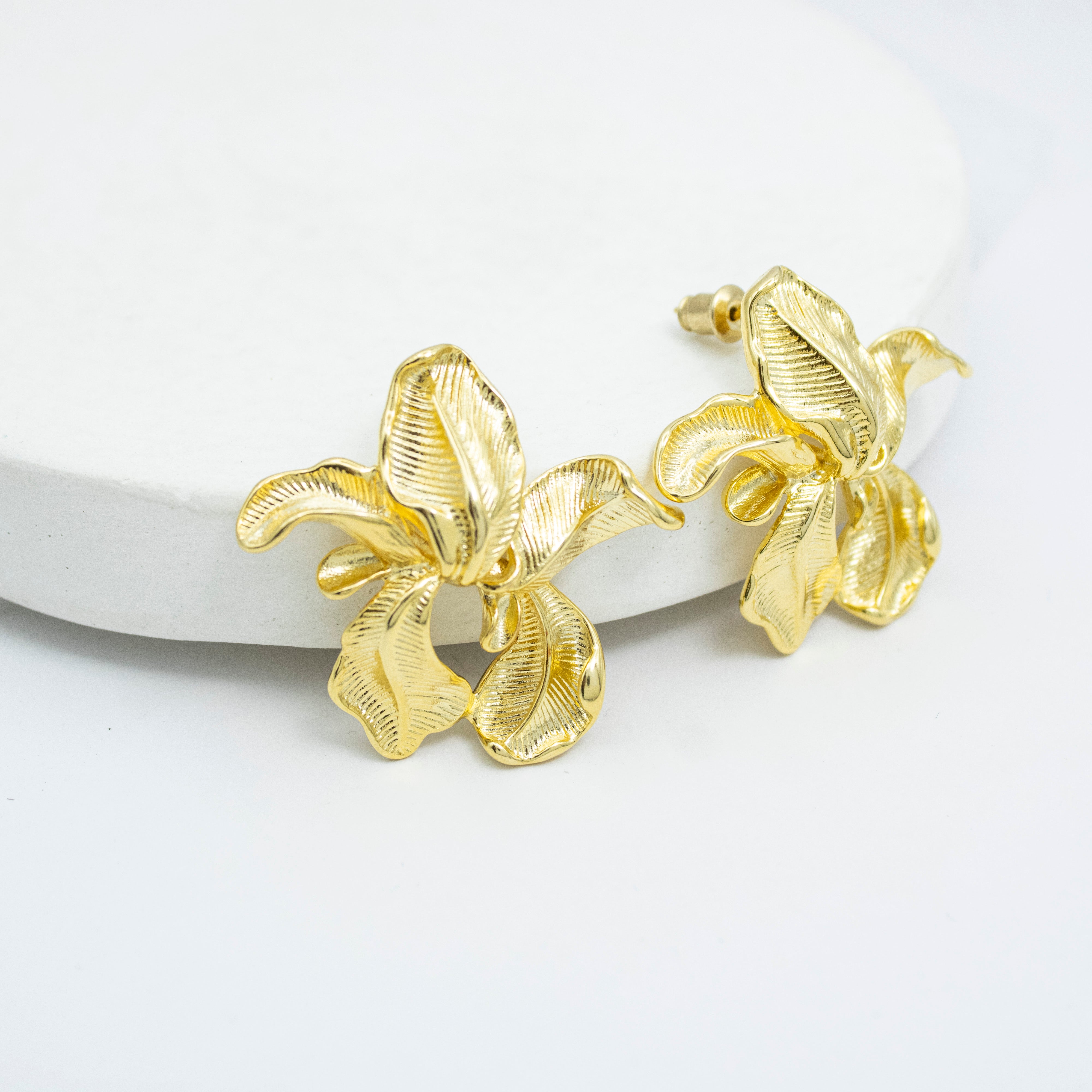 Collection of  in a gallery layout