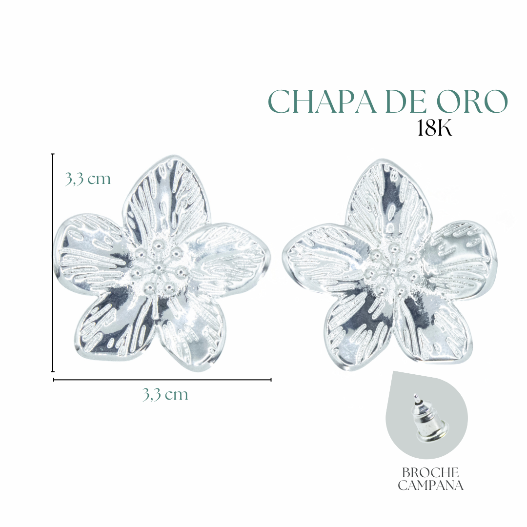 Collection of Aretes Flor Plateada in a gallery layout
