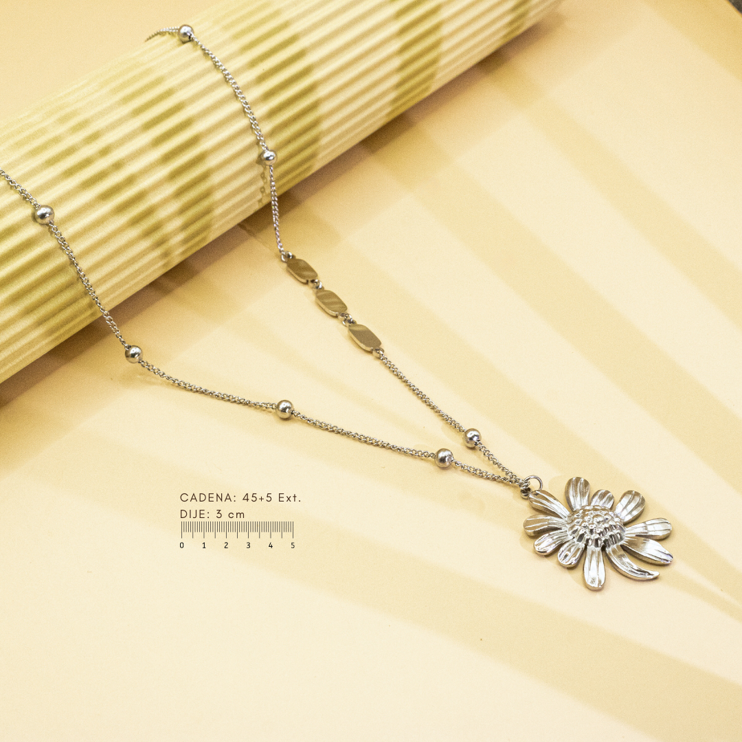 Collection of  in a gallery layout