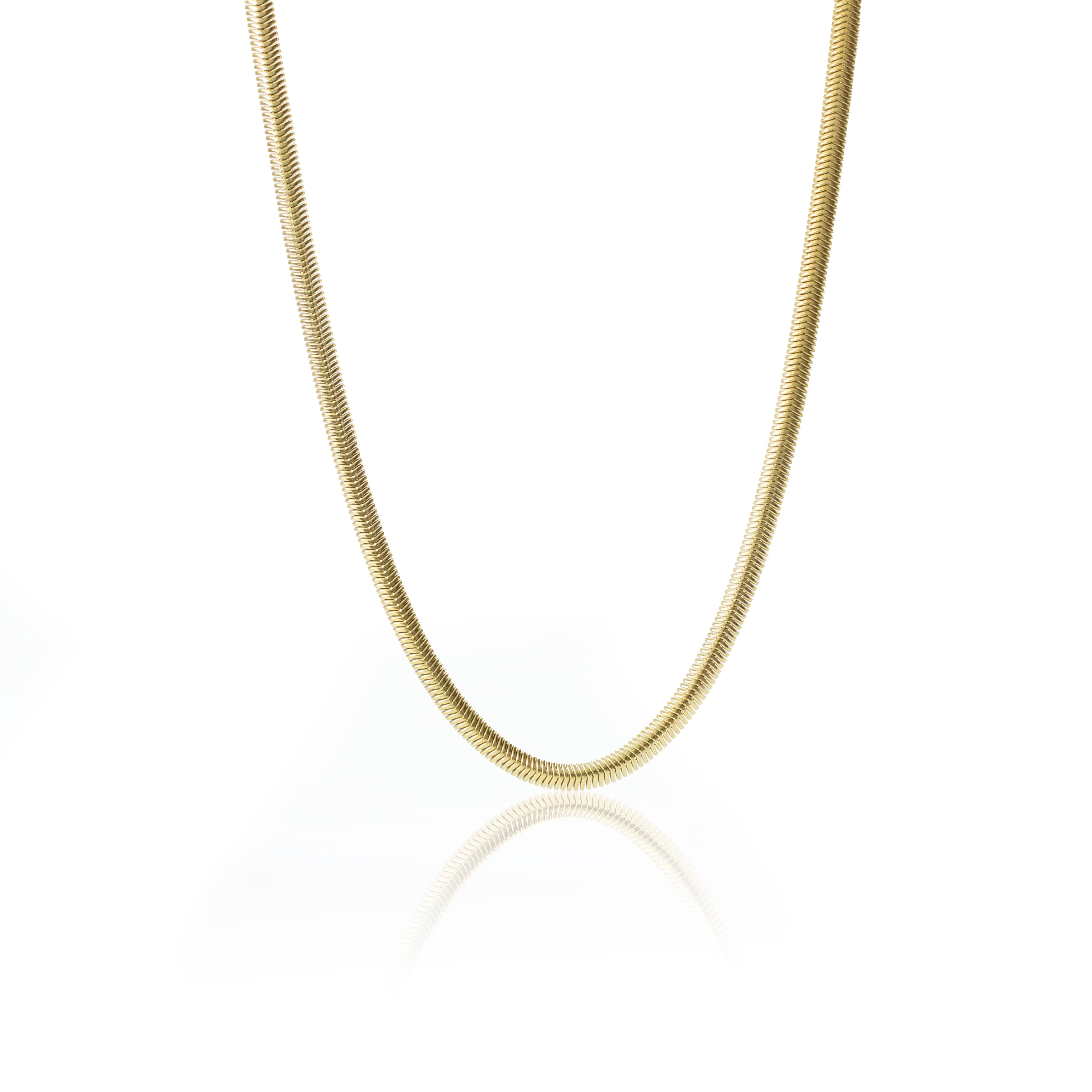 Collection of  in a gallery layout