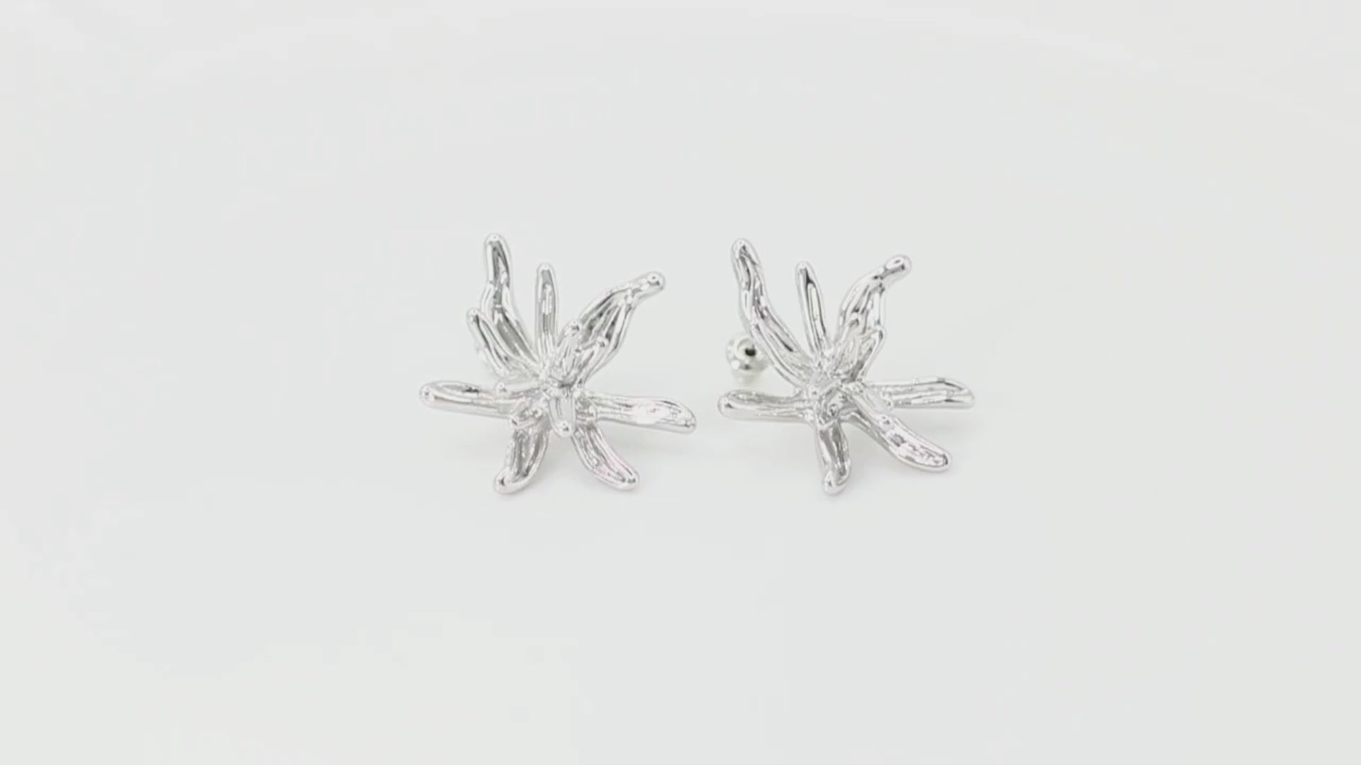 Collection of Arete Estrella de Mar 68 Plateada in a gallery layout