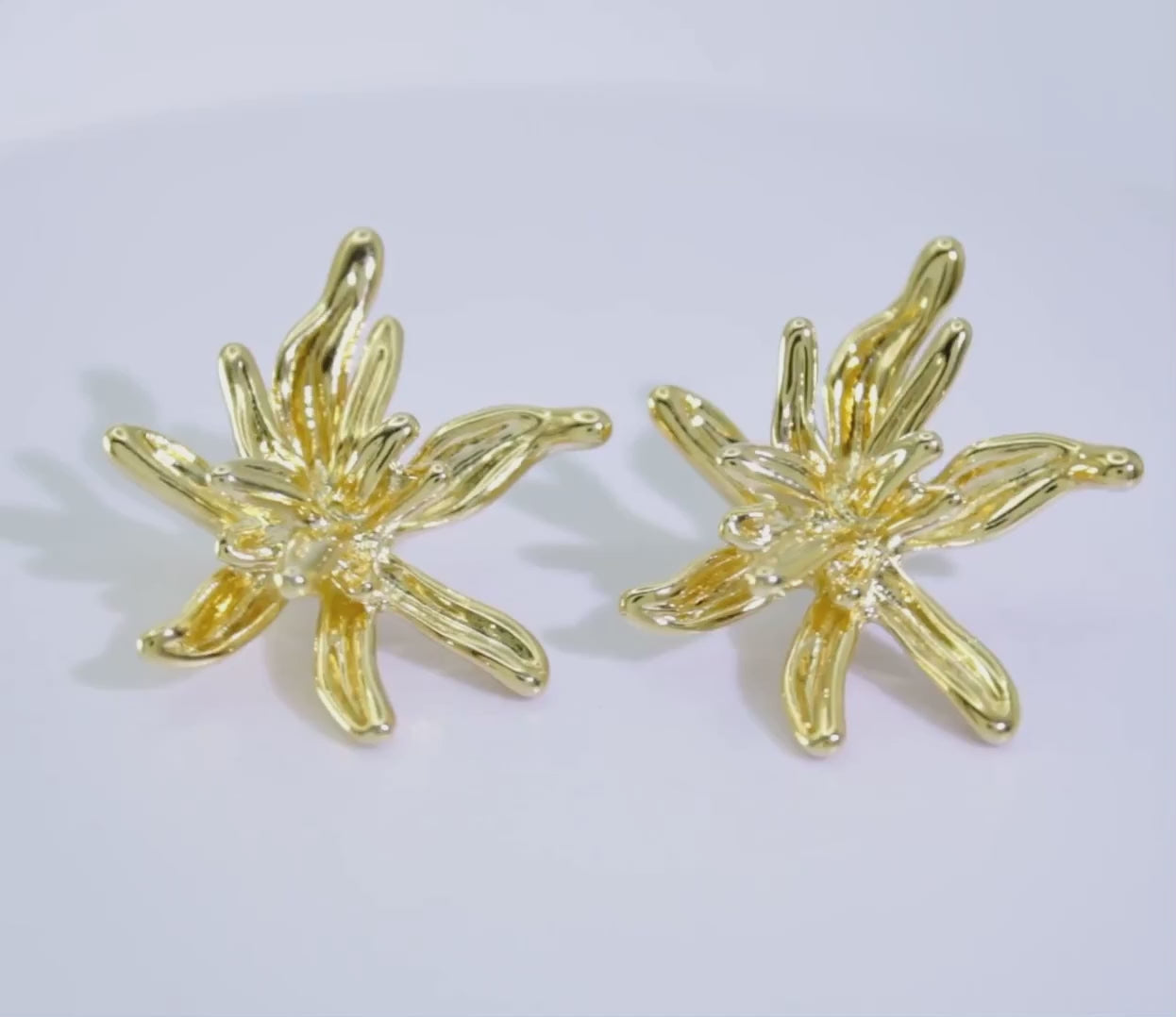 Collection of Arete Estrella de Mar 68 Dorada in a gallery layout